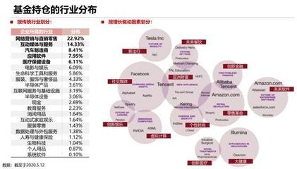 砸崩特斯拉的BG究竟什么來(lái)頭？軟件外包服務(wù)全景解析